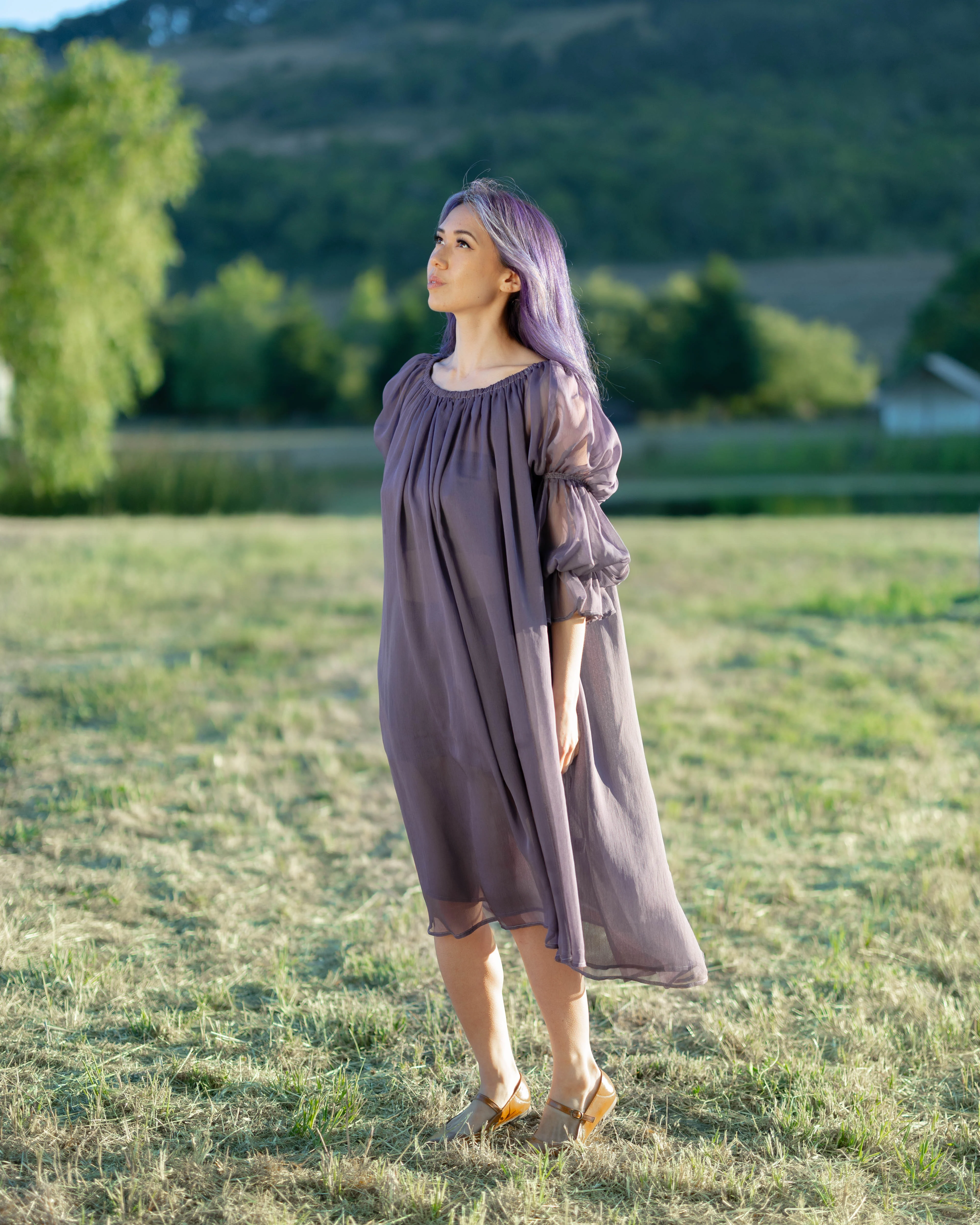 Dark Purple Chiffon Chemise - Image 7